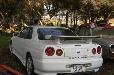 More abandoned cars left to rot