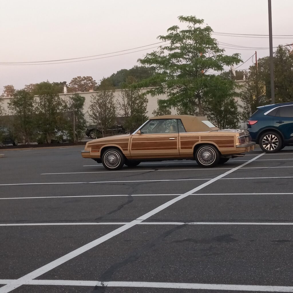 This is what i call low hanging fruit