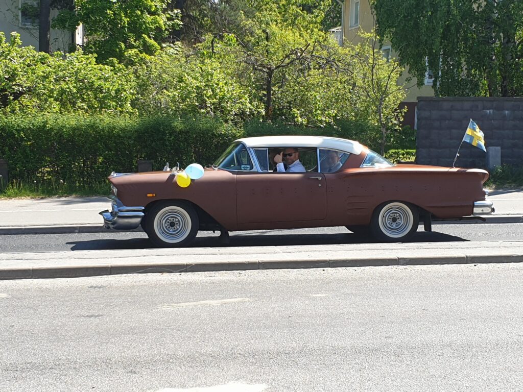 Chevrolet Impala 1958 found in wild.