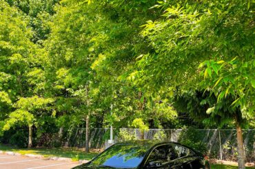 just tryin to be different. accord coupe V6/6MT