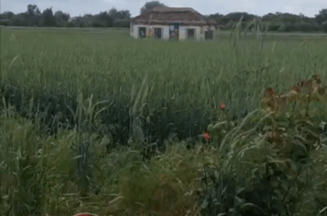 Ukrainian Military disguises an armored vehicle as a house.
