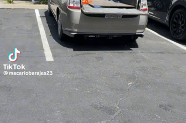 Don't know if it fits here. Prius ute