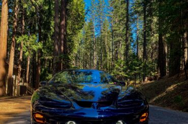 Cross Country road trip in my 2000 Trans Am (824 × 972)