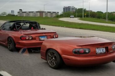 Not my spotting but this is perfect