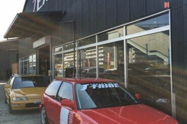 I LOVE ALL THE CİVİCS THEY ARE İNCREDİBLE