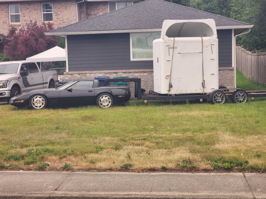 whatever the hell is going on here (western Washington state)