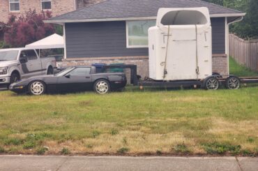 whatever the hell is going on here (western Washington state)