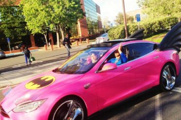 ...why? (x-post r/wtf)