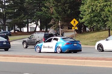 Spotted One Of The Locals