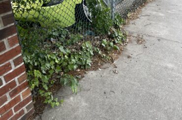 Somebody beast is taking a nap 👀