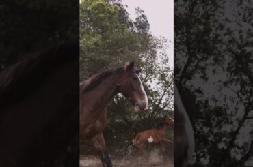 Horsepower. 👊 The vehicle displayed shows optional equipment.