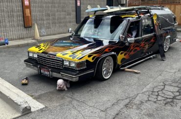 Spotted at Car d’Alene