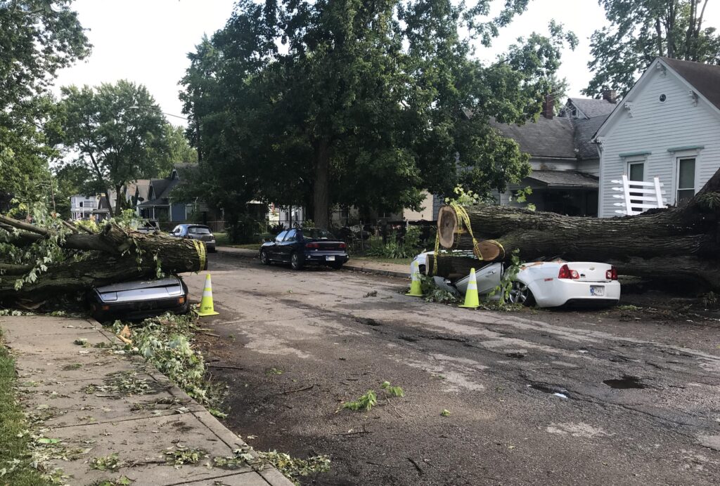 Update: 2 cars squished in FSQ “—-they cut the tree though