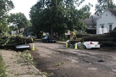 Update: 2 cars squished in FSQ “—-they cut the tree though