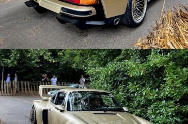 Singer DLS Turbo [2160x3268]