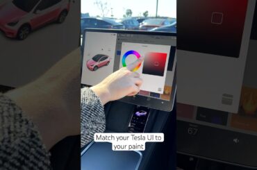 Tesla Car Colorizer