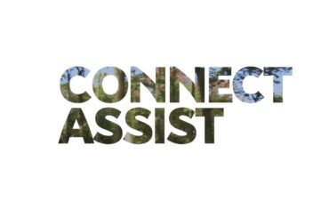 Citroën C4 and ë-C4 - 100% ëlectric: Connect Assist