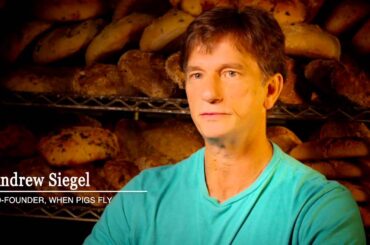 When Pigs Fly "Above and Beyond" -- Mercedes-Benz Sprinter Vans