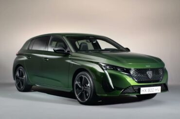 New E-308 & E-308SW l Walkaround