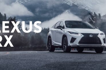 Lexus | 2020 RX Reveal