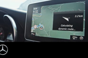 what3words with Mike Horn: Finding the Trail