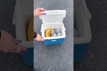 Restock | Nissan Kicks