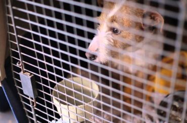 What Makes a Honda Is Who Makes a Honda: Jon’s Story