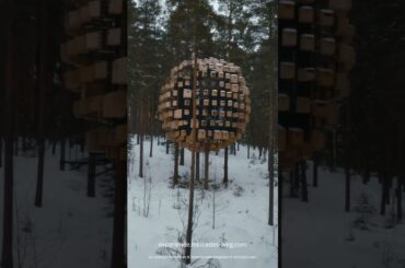 Expedition Mode on #Shorts