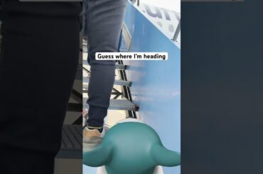 We found #SPIKE at the airport, but where is he going? See any clues?🕵️‍♀️ #MINI #POV #TravelBlog