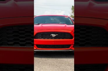 A legacy that’s always front and center | Ford #Mustang #Shorts