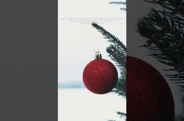 Get ready for the Holiday Season in Mercedes-AMG style #shorts