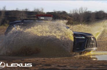 Yakima Accessories | Lexus