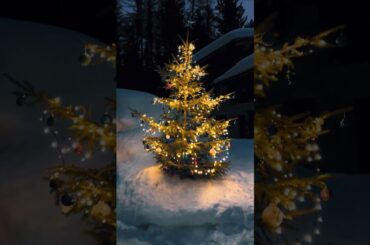 A Christmas full of light! 🎄✨ The vehicle displayed shows optional equipment.