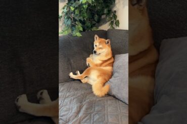 Cody Taurus & The 2024 BMW i7 | BMW USA #shorts