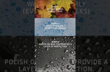 Keep your Mitsubishi looking dealership fresh all fall. 🍁#carcare #carcleaning