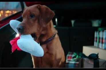 Christmas Visit | Volkswagen