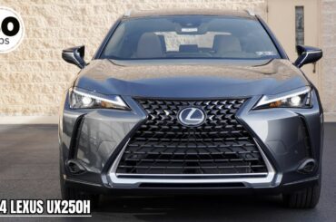 2024 Lexus UX250h Review | 45 MPG's!