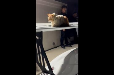 More swag than we can handle. #shorts