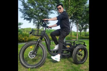Top 3  Best Electric Tricycle 2024 | 3 Wheel E-Bike Trike Cargo ebike 48V 1000W 24AH (Samsung)