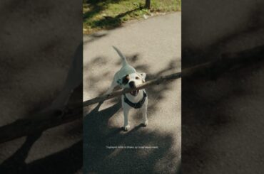 No problem too big with the VW T-Cross #volkwagen #tcross