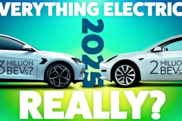 'EVERYTHING ELECTRIC' smart-arses proven right? How many EVs will BYD & TESLA make in 2024?