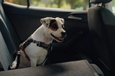 Never for the few, but always for the many | Volkswagen