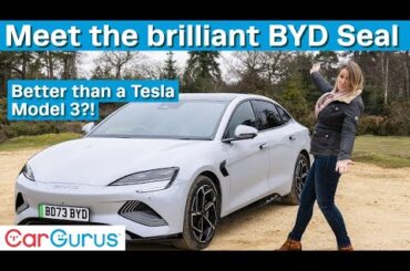 Is the BYD Seal the EV you didn't know you wanted?