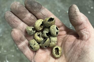 The blower motor on my Mazda 3 was vibrating and making other horrible noises. Managed to pull these out of it