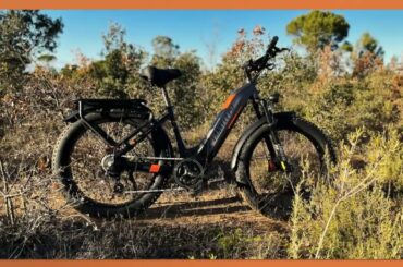 Lankeleisi MG600 Plus 2024 best electric fat bikes