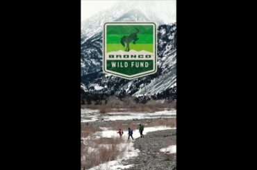 Scaling Frozen Heights: Check out the Wyoming Ice Festival