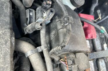 Got a squirrel in my car, still runs but what are these?