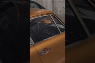 Keeping it classic #shorts