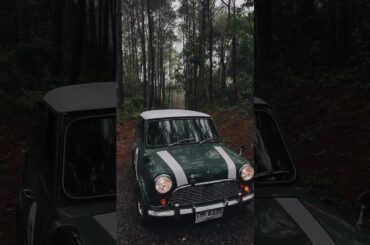 Small, lean, and British Racing Green. #ClassicCar #ClassicMini #DriveTastefully #mini