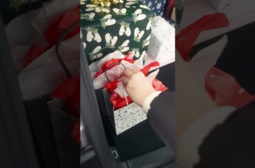 VW Atlas Holiday Checklist